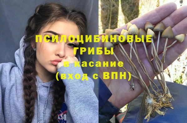 меф Алзамай