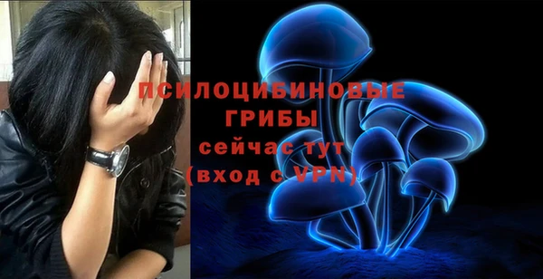 винт Пролетарск