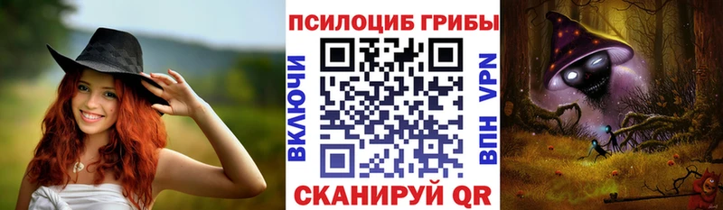 МЕГА   Выкса  Псилоцибиновые грибы Psilocybe 